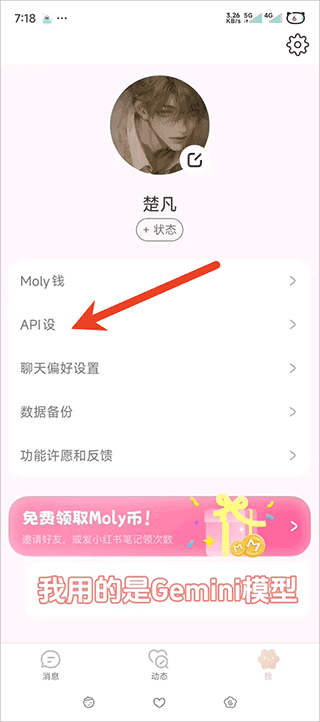 聊天设置